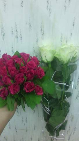 Папа, мама - помните давно вы сказали мне То, что 