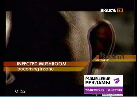 Becoming Insane Infected Mushroom